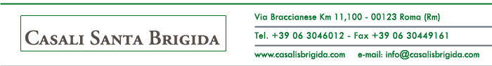 CAsali Santa Brigida